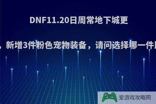 DNF11.20日周常地下城更新改版，新增3件粉色宠物装备，请问选择哪一件比较好?