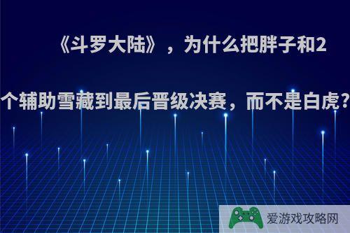 《斗罗大陆》，为什么把胖子和2个辅助雪藏到最后晋级决赛，而不是白虎?