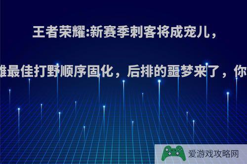 王者荣耀:新赛季刺客将成宠儿，野核英雄最佳打野顺序固化，后排的噩梦来了，你怎么看?