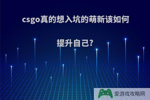 csgo真的想入坑的萌新该如何提升自己?