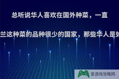 总听说华人喜欢在国外种菜，一直有个疑惑，像新西兰这种菜的品种很少的国家，那些华人是如何弄到种子的呢?