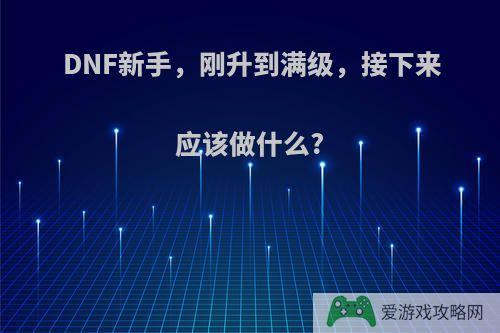 DNF新手，刚升到满级，接下来应该做什么?