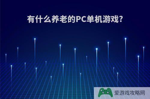 有什么养老的PC单机游戏?