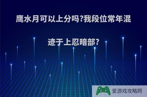 鹰水月可以上分吗?我段位常年混迹于上忍暗部?