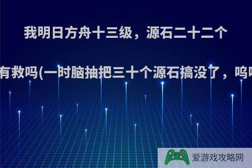 我明日方舟十三级，源石二十二个，还有救吗(一时脑抽把三十个源石搞没了，呜呜呜)?