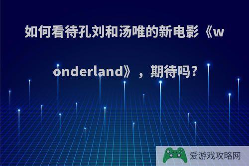 如何看待孔刘和汤唯的新电影《wonderland》，期待吗?