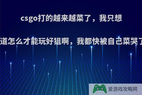 csgo打的越来越菜了，我只想知道怎么才能玩好狙啊，我都快被自己菜哭了?