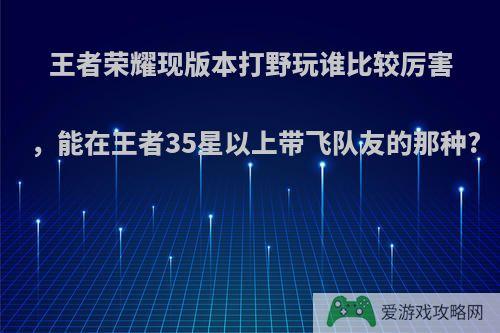 王者荣耀现版本打野玩谁比较厉害，能在王者35星以上带飞队友的那种?