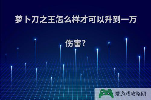 萝卜刀之王怎么样才可以升到一万伤害?