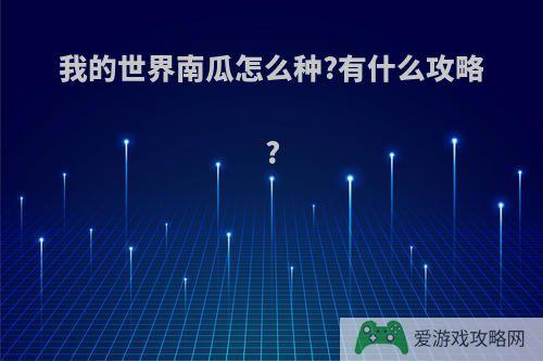 我的世界南瓜怎么种?有什么攻略?