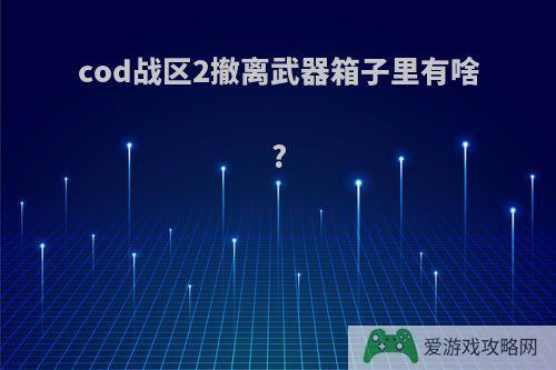 cod战区2撤离武器箱子里有啥?