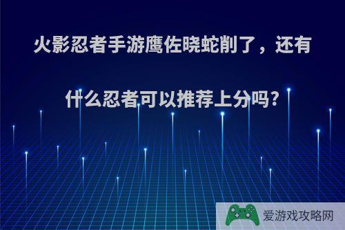 火影忍者手游鹰佐晓蛇削了，还有什么忍者可以推荐上分吗?