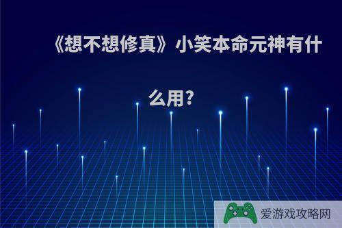 《想不想修真》小笑本命元神有什么用?