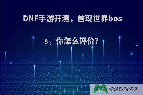 DNF手游开测，首现世界boss，你怎么评价?