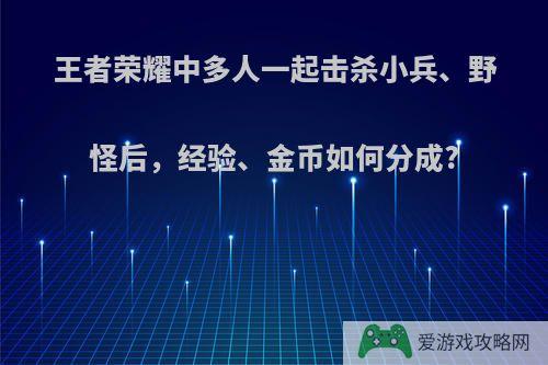 王者荣耀中多人一起击杀小兵、野怪后，经验、金币如何分成?