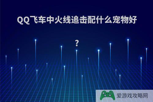 QQ飞车中火线追击配什么宠物好?