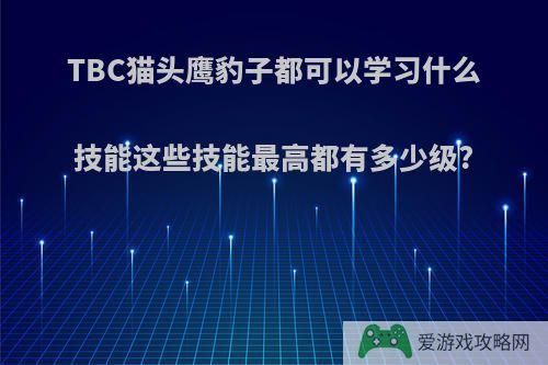 TBC猫头鹰豹子都可以学习什么技能这些技能最高都有多少级?