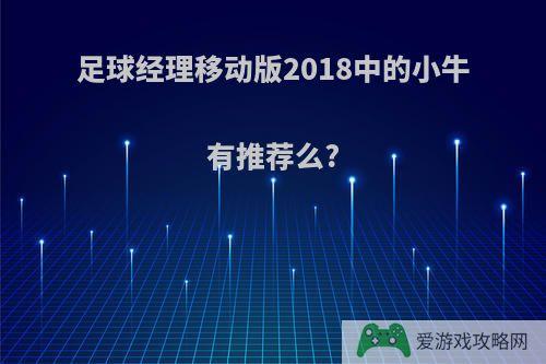 足球经理移动版2018中的小牛有推荐么?