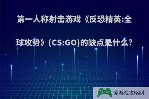 第一人称射击游戏《反恐精英:全球攻势》(CS:GO)的缺点是什么?