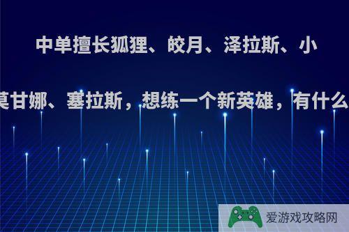 中单擅长狐狸、皎月、泽拉斯、小法、莫甘娜、塞拉斯，想练一个新英雄，有什么推荐?