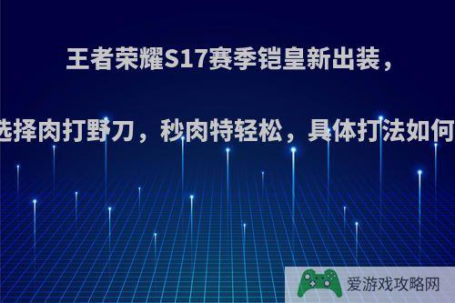 王者荣耀S17赛季铠皇新出装，选择肉打野刀，秒肉特轻松，具体打法如何?