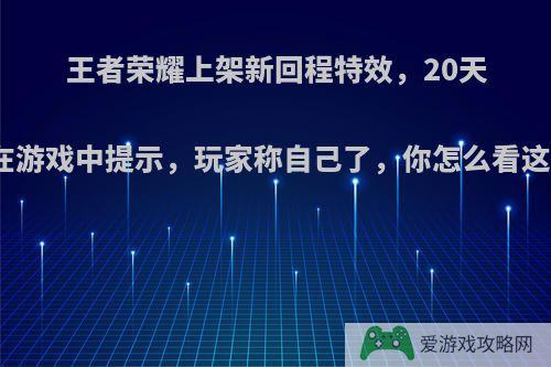 王者荣耀上架新回程特效，20天后才在游戏中提示，玩家称自己了，你怎么看这件事?