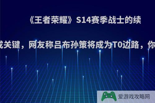 《王者荣耀》S14赛季战士的续航能力成关键，网友称吕布孙策将成为T0边路，你觉得呢?