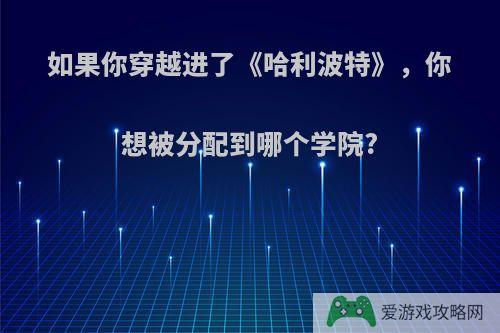 如果你穿越进了《哈利波特》，你想被分配到哪个学院?