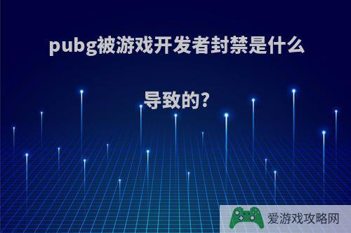 pubg被游戏开发者封禁是什么导致的?