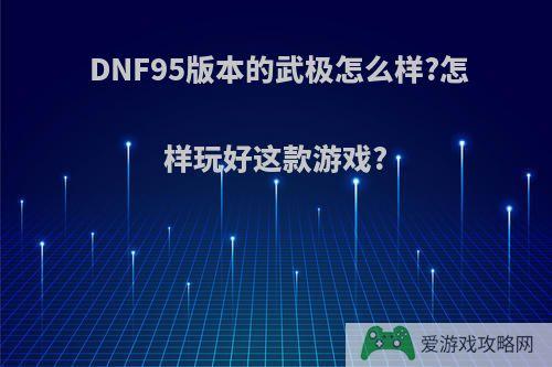 DNF95版本的武极怎么样?怎样玩好这款游戏?