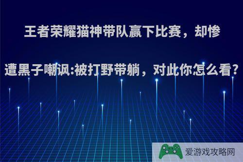 王者荣耀猫神带队赢下比赛，却惨遭黑子嘲讽:被打野带躺，对此你怎么看?