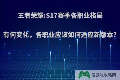 王者荣耀:S17赛季各职业格局有何变化，各职业应该如何适应新版本?