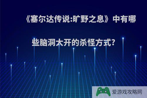 《塞尔达传说:旷野之息》中有哪些脑洞大开的杀怪方式?