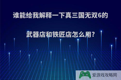 谁能给我解释一下真三国无双6的武器店和铁匠店怎么用?