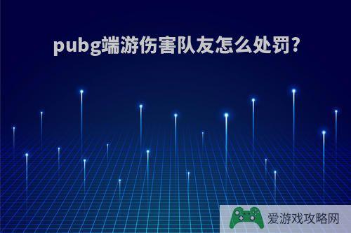 pubg端游伤害队友怎么处罚?