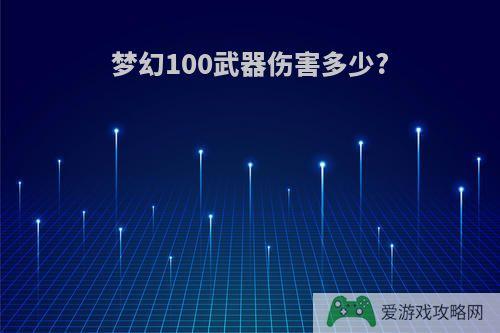 梦幻100武器伤害多少?