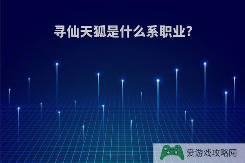 寻仙天狐是什么系职业?