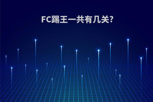 FC踢王一共有几关?