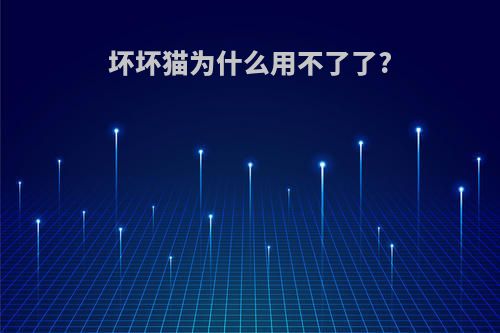 坏坏猫为什么用不了了?