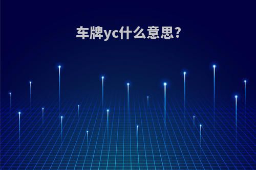 车牌yc什么意思?