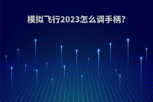 模拟飞行2023怎么调手柄?