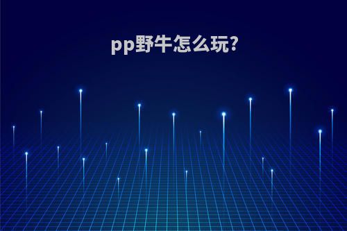 pp野牛怎么玩?