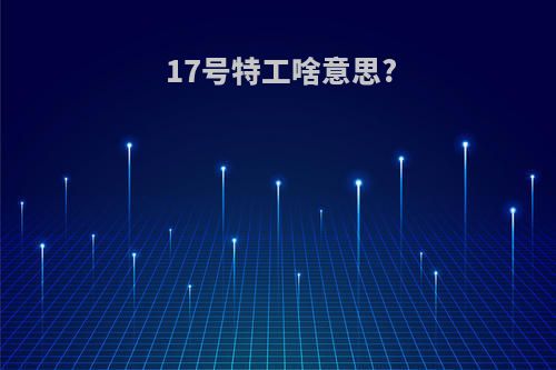 17号特工啥意思?