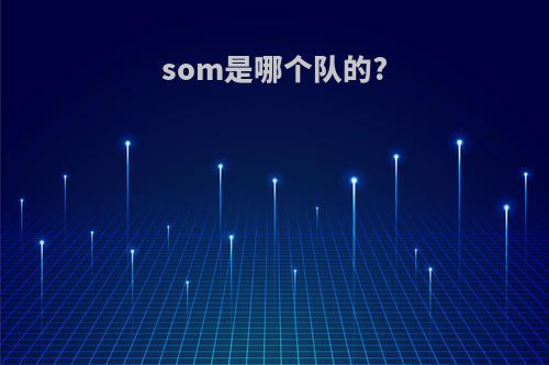 som是哪个队的?