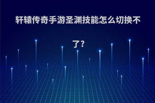 轩辕传奇手游圣渊技能怎么切换不了?