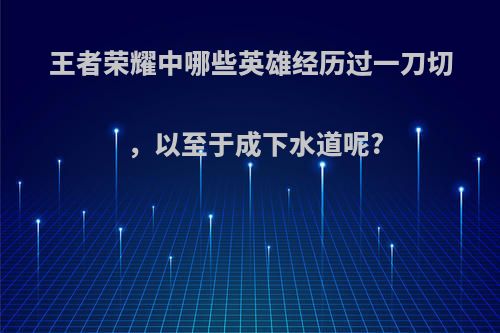 王者荣耀中哪些英雄经历过一刀切，以至于成下水道呢?