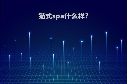 猫式spa什么样?