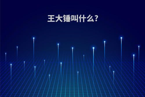 王大锤叫什么?