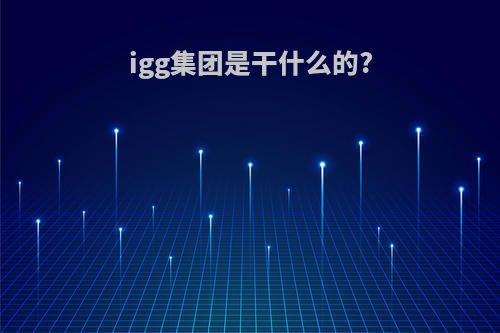 igg集团是干什么的?