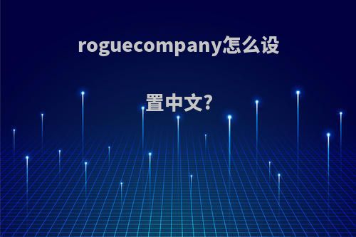 roguecompany怎么设置中文?